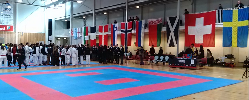 karate flags